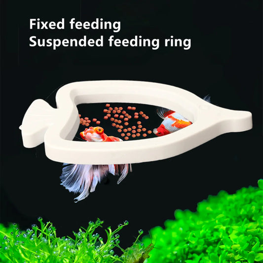 Fish Food Feeding Ring Round Square Feeder Plastic Acrylic Spot Feeder