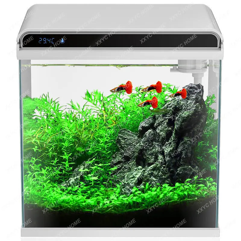 Fish Tank Aquarium Turtle Jar Fish Globe Creative Small Fish Tank He Ecological Fish Tank Desktop